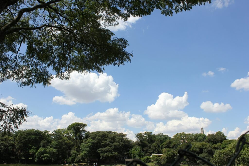 a view of a grassy field with trees and a tower in the distance